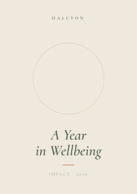 Halcyon report cover, Wellness template